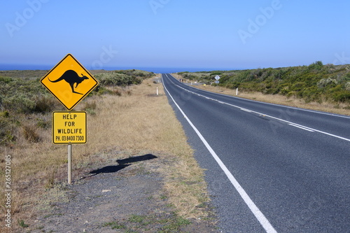 Achtung Kängurus an der Great Ocean Road in Australien