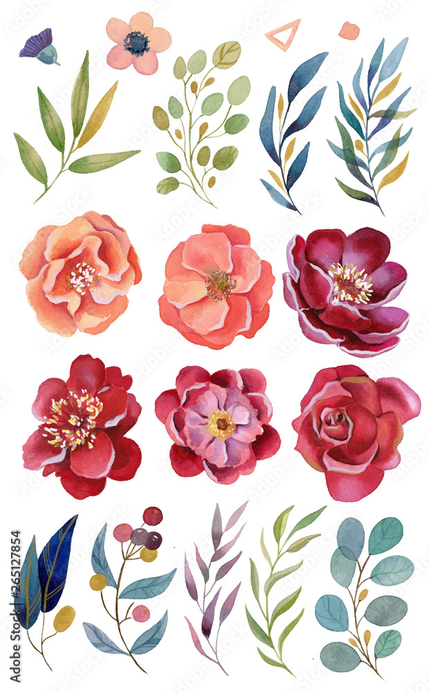 Watercolor flowers and leaves - buds, petals, brunches