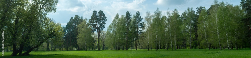 Panoramic of Olexandriya dendropark in Bila Tserkva Ukraine Panoramic of Olexandriya dendropark in Bila Tserkva Ukraine