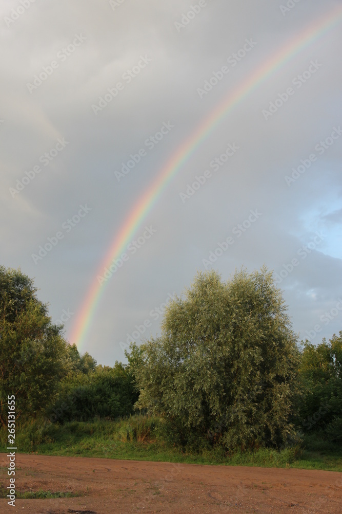 half a rainbow after the rain peeking out from behind the forest on the background of rain clouds half a rainbow after the rain peeking out from behind the forest on the background of rain clouds