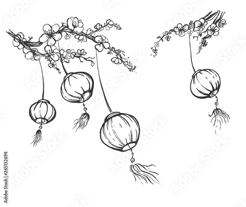Chinese paper lanterns collection