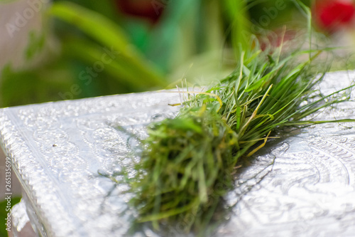Green grass