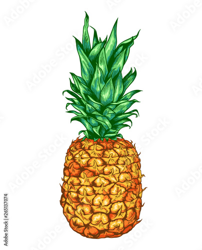 Sweet ripe pineapple
