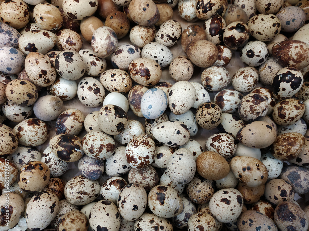 Fototapeta premium Textured background with small quail eggs. Eco products. Horizontal format