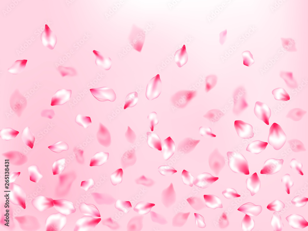 Spring blossom isolated petals flying Spring blossom isolated petals flying