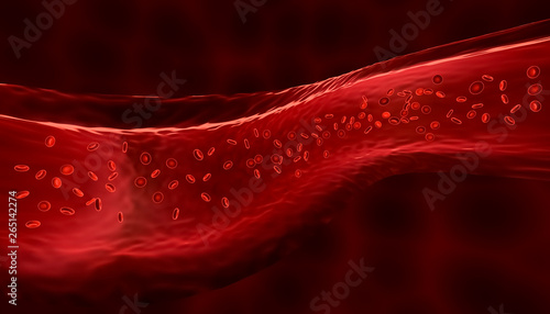 Red blood cells or corpuscles flowing through a vein. Medical and micro biology 3d render illustration.