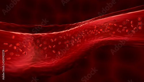 Red blood cells or corpuscles flowing through a vein. Medical and micro biology 3d render illustration. photo