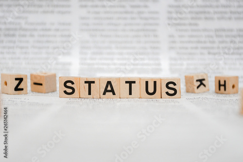 Status Word Written In Wooden Cube