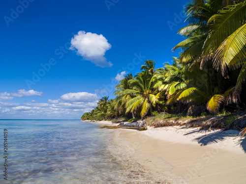 Deserted Caribbean beach on a clear day with calm blue sea, sand and blue sky with fluffy cloud. 