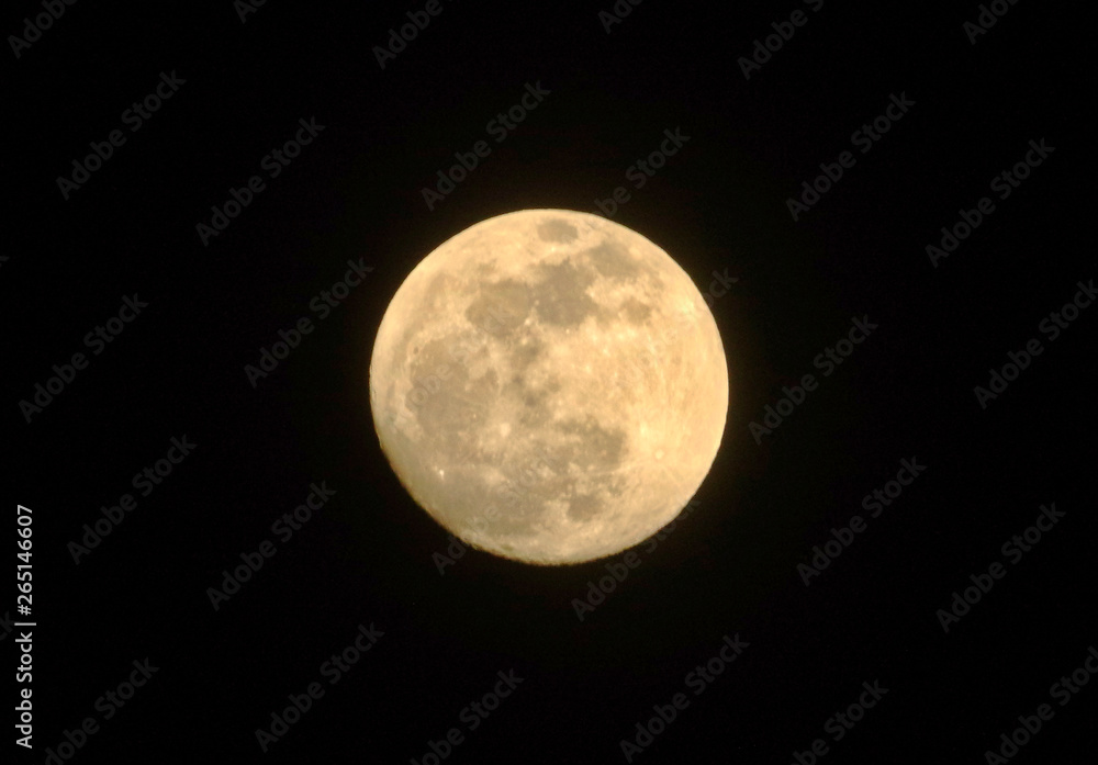 Obraz premium Full Moon