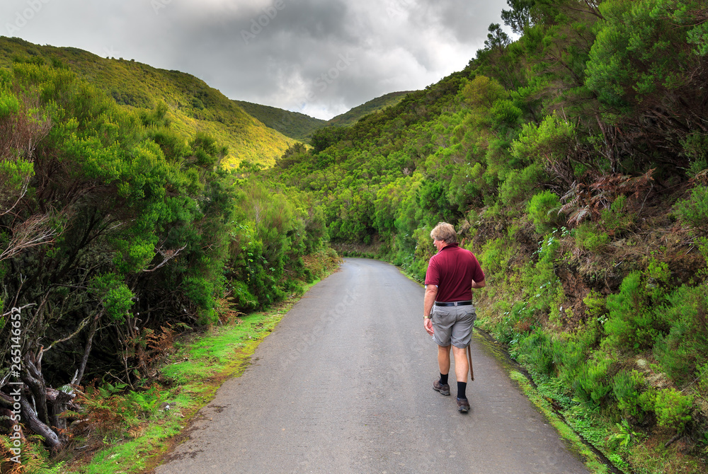 Obraz premium Beautiful landscape view of a hiking senior tourist on the 25 Fontes levada trail on the green island Madeira