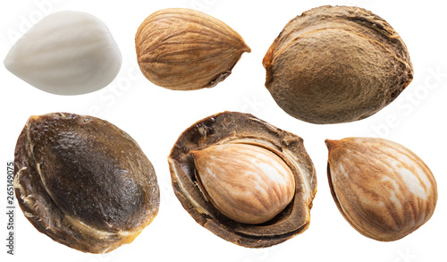 Foto Set of apricot stones and apricot kernels