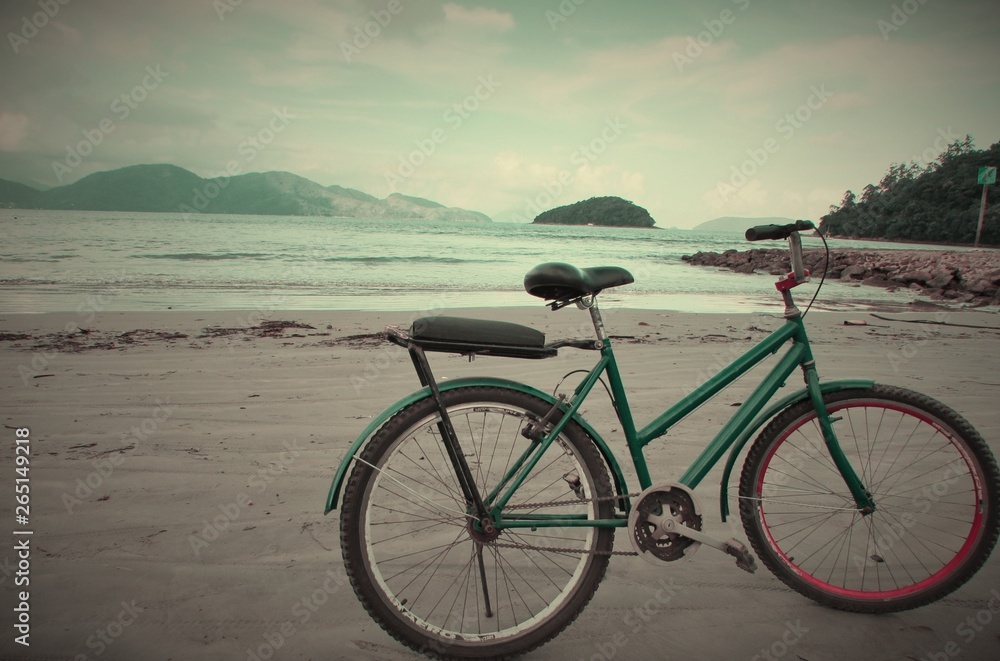 pedaling in the morning pedaling in the morning