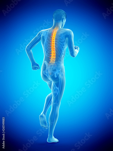 3d rendered medically accurate illustration of a walking man with a painful back © Sebastian Kaulitzki