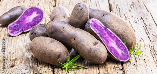 Vitolette noir or purple potato. On a white background. photo