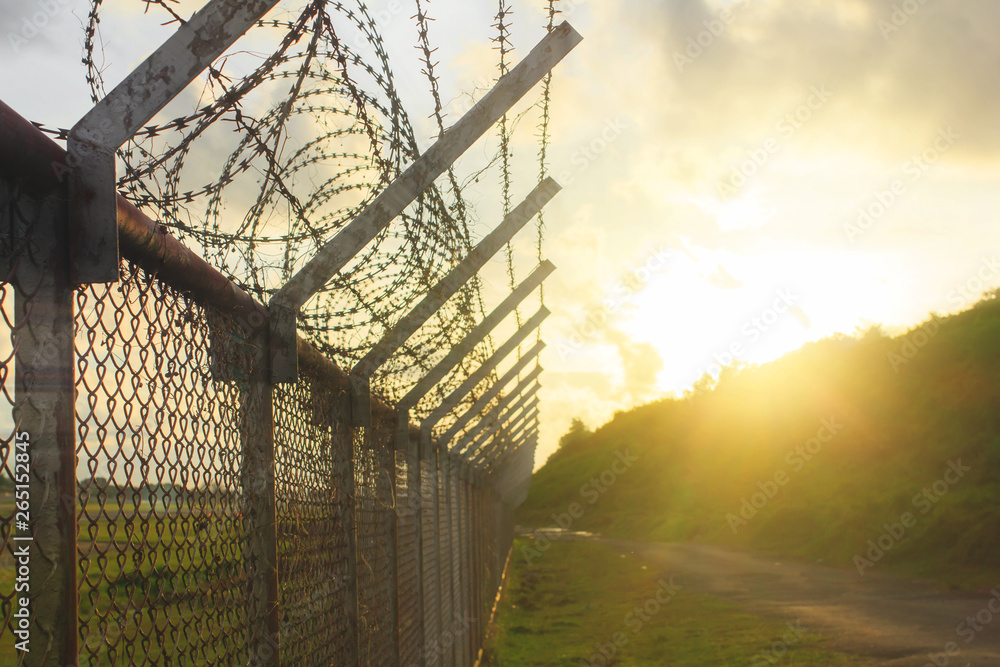 wire mesh steel with green grass background in Phuket Thailand wire mesh steel with green grass background in Phuket Thailand