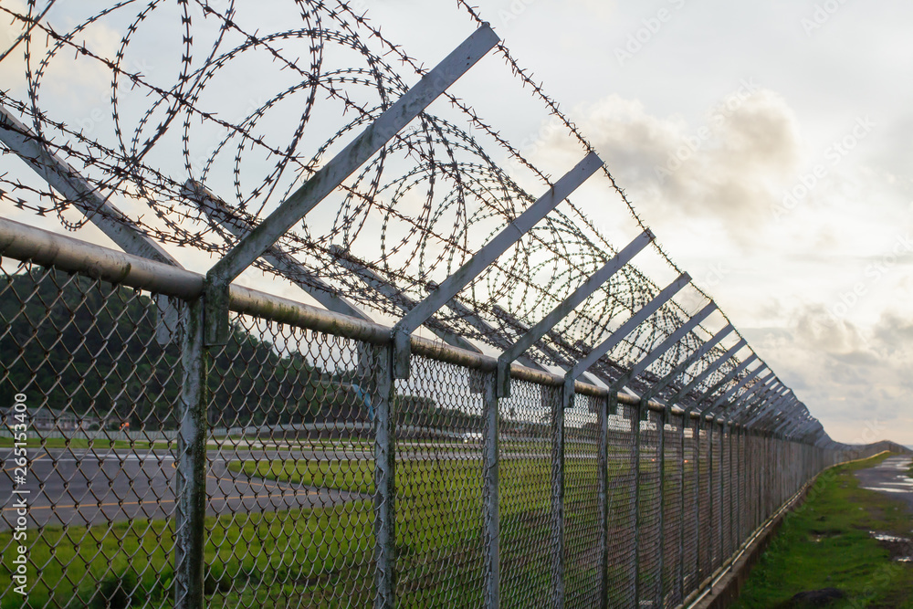 wire mesh steel with green grass background in Phuket Thailand wire mesh steel with green grass background in Phuket Thailand