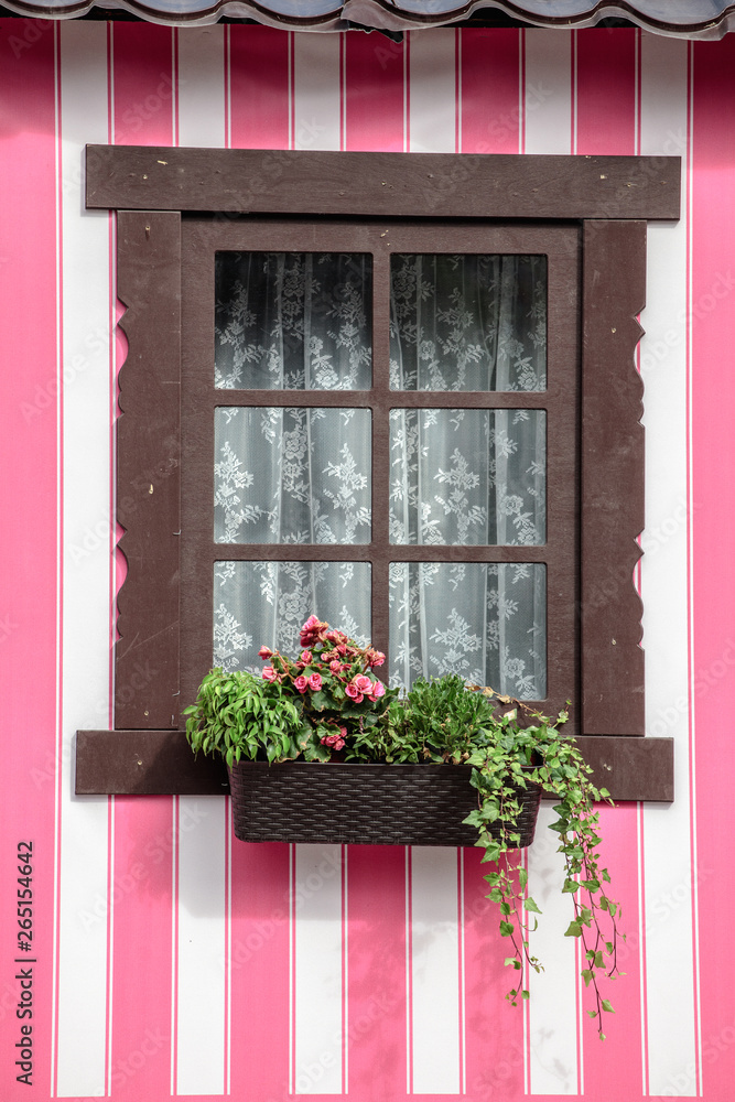window with flowers on a pink background