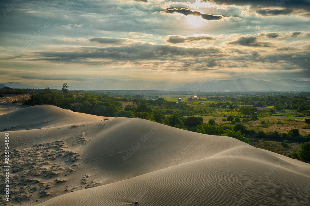 Fototapeta premium sand dunes in the sunset