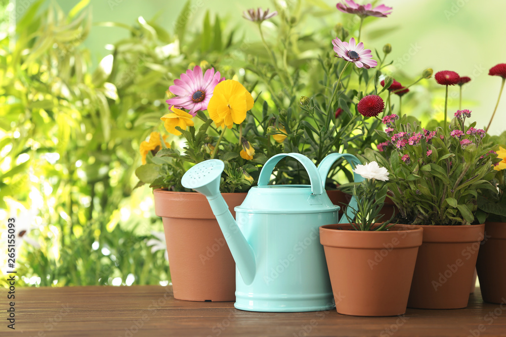 Potted blooming flowers and watering can on wooden table, space for text. Home gardening
