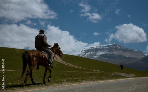 horse and rider in the mountains