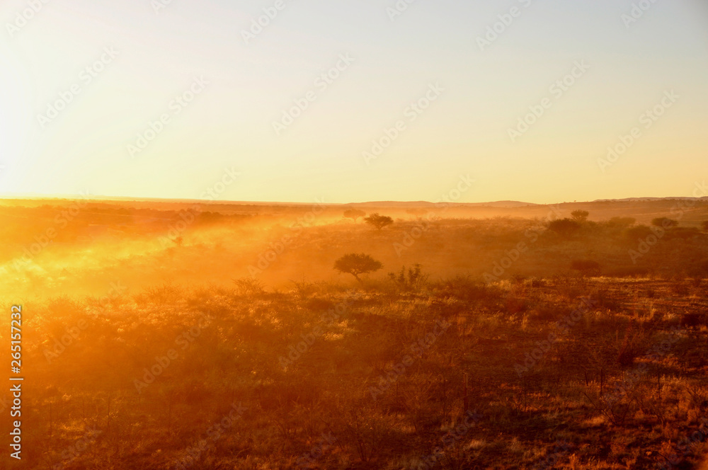Dusty roads in the Namibian desert