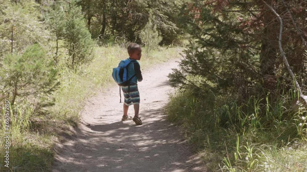 Slow motion of little boy hiking through the forest on a hiking trail Slow motion of little boy hiking through the forest on a hiking trail