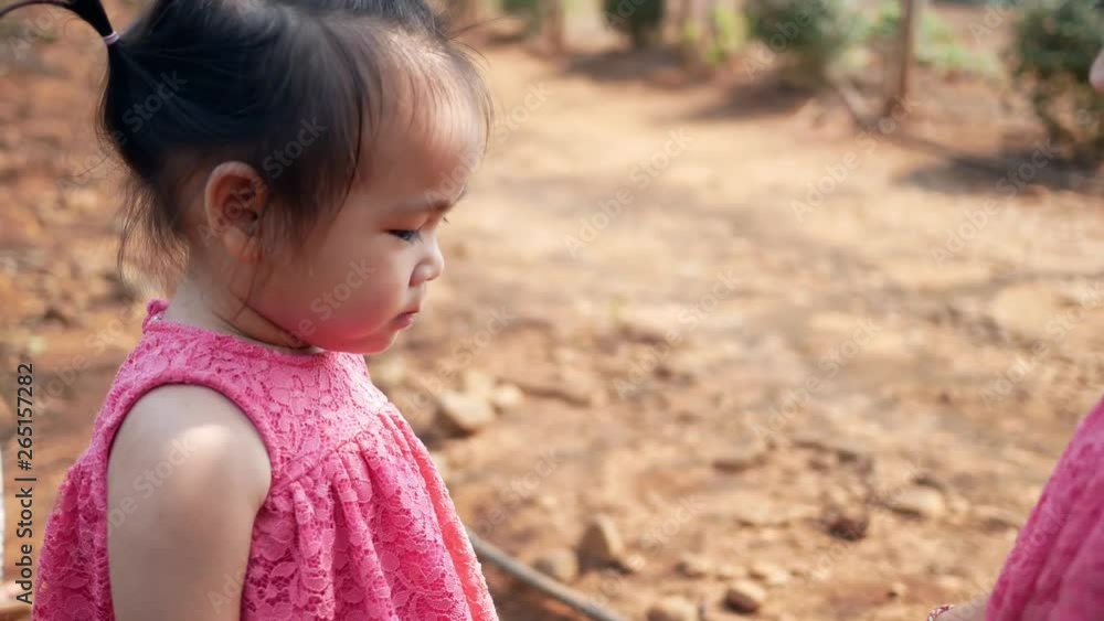 Asian little child testing the taste of fresh mulberry balls the beginning in the garden, First time to eating. Playing is learn to children.