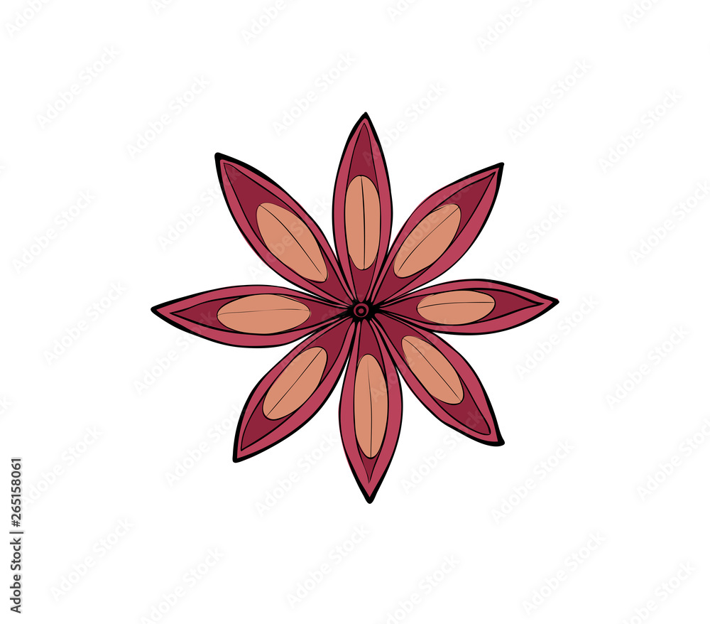 Cinnamon Star. Isolated fruit spices for baking Cinnamon Star. Isolated fruit spices for baking