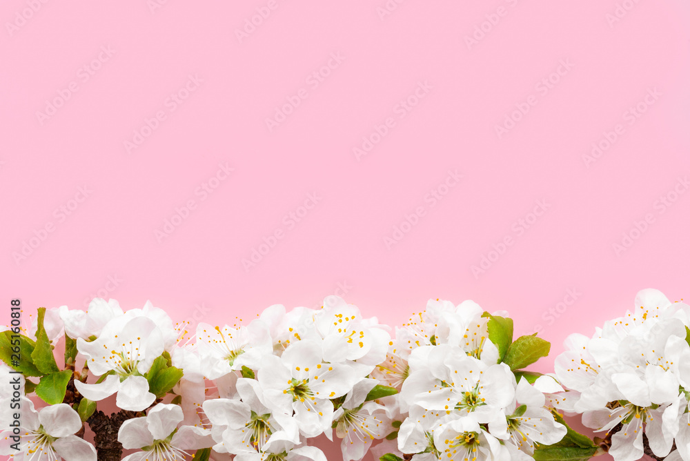 Pattern of white flowers on a pastel pink background. Spring background. Flat lay, copy space, top view.