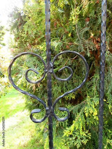 Black wrought iron front of green bushes.