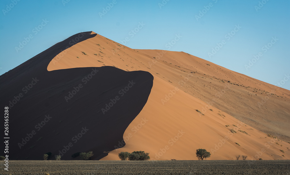 Sossusvlei Desert, Namibia, dunes in the midday sun