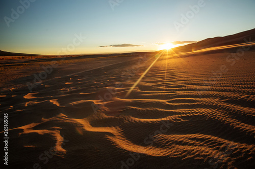 Beautiful sand dunes in the desert