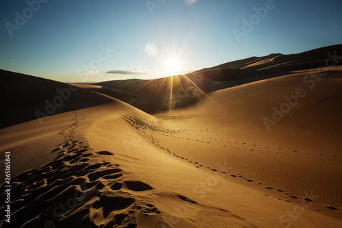 Beautiful sand dunes in the desert