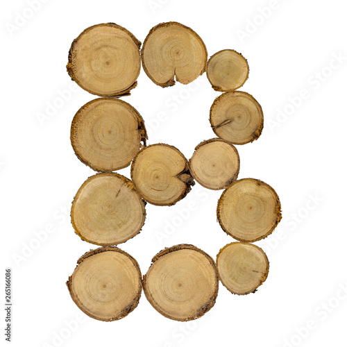 Wooden stumps  letter B  alphabet  white background isolated