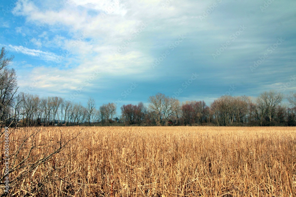 Fototapeta premium Stormy landscape