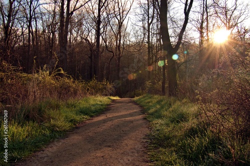 Nature Path