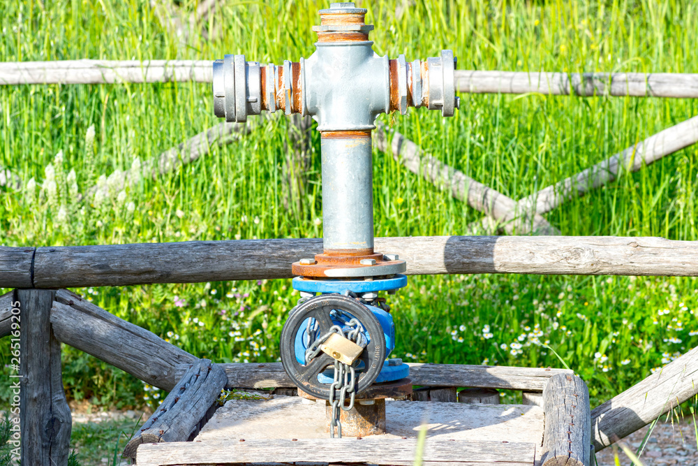 water pumps in the forest water pumps in the forest