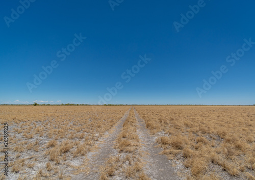 Namibia  landscape  road  desert