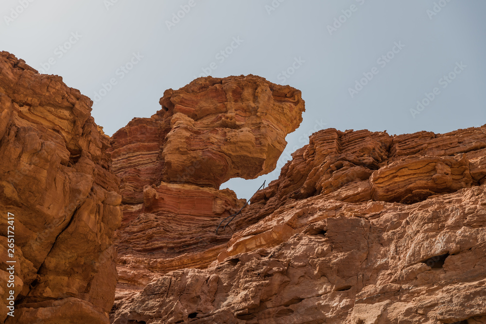 Fototapeta premium red rocks at timna national park