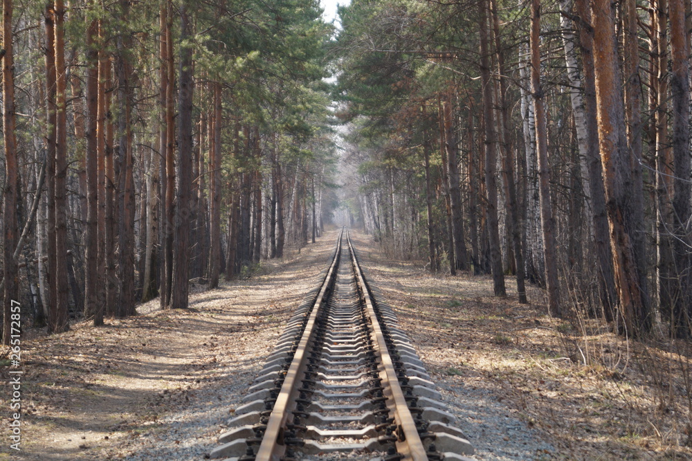 Fototapeta premium railway in the forest
