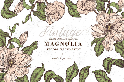 Vintage card with magnolia flowers. Floral wreath. Flower frame for flowershop with label designs. Summer floral magnolia greeting card. Flowers background for cosmetics packaging.