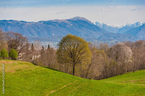 Photos Landscape / Montello in Italy