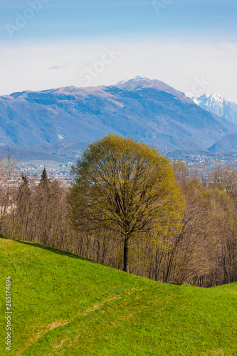 Photos Landscape / Montello in Italy