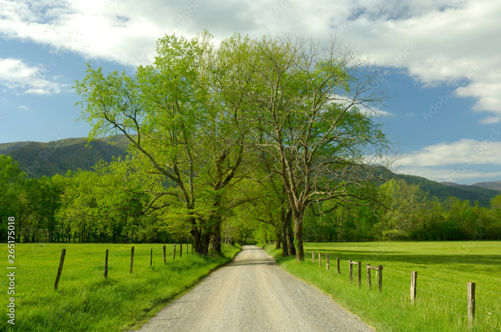 Sparks Lane, Cades Cove, Smoky Mountains, TN, USA Sparks Lane, Cades Cove, Smoky Mountains, TN, USA