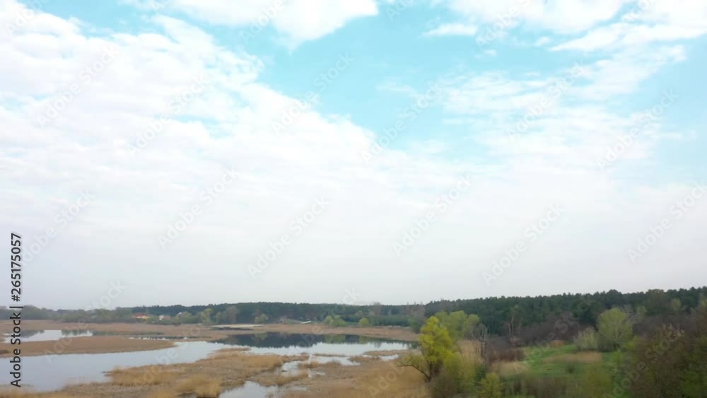 Aerial flying over beautiful early spring river landscape with dried canes, trees and cones forest. Sunrise time, panoramic video 4k. Aerial flying over beautiful early spring river landscape with dried canes, trees and cones forest. Sunrise time, panoramic video 4k.