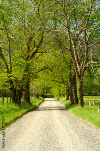 Sparks Lane in Cades Cove of Great Smoky Mountains, Tennessee, USA