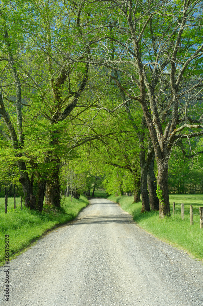 Sparks Lane in Cades Cove of Smoky Mountains, TN, USA.