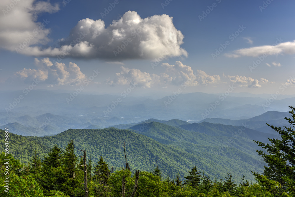 Appalachian Mountains in Great Smoky Mountains National Park from Clingman's Dome