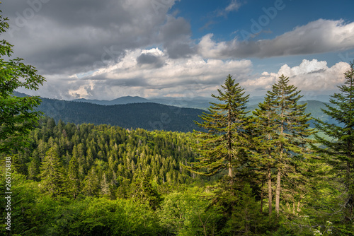 Great Smoky Mountains in the Appalachian Chain